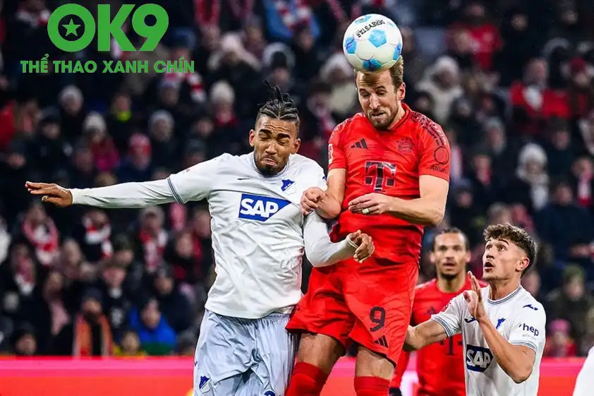 Hoffenheim khó cản được sức mạnh của Bayern Munich. (Ảnh: Internet) Hoffenheim khó cản được sức mạnh của Bayern Munich. (Ảnh: Internet)