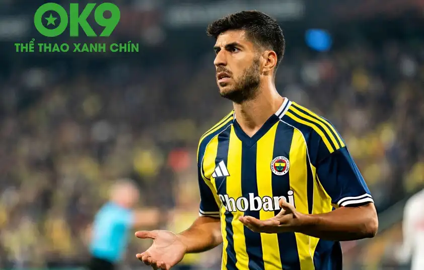 Fenerbahce phần nào được đánh giá cao hơn so với Gaziantep Fenerbahce phần nào được đánh giá cao hơn so với Gaziantep